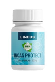 Incas Protect